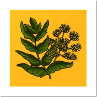 Wild Parsnip - Poisonous Pretties Posters and Art